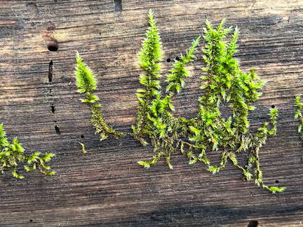 24-02-26 15-52-28 8724